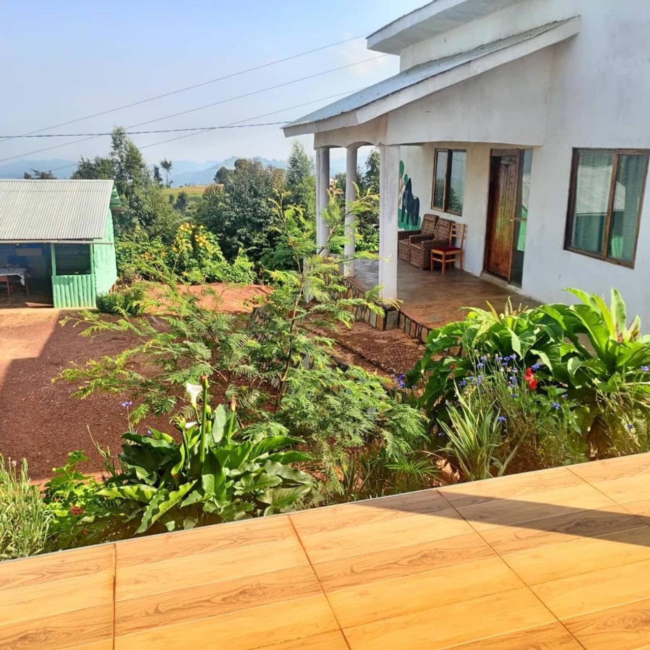 Ruhija Gorilla Guest House Kabale 外观 照片