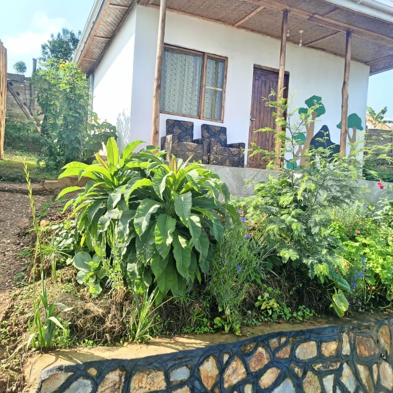 Ruhija Gorilla Guest House Kabale 外观 照片